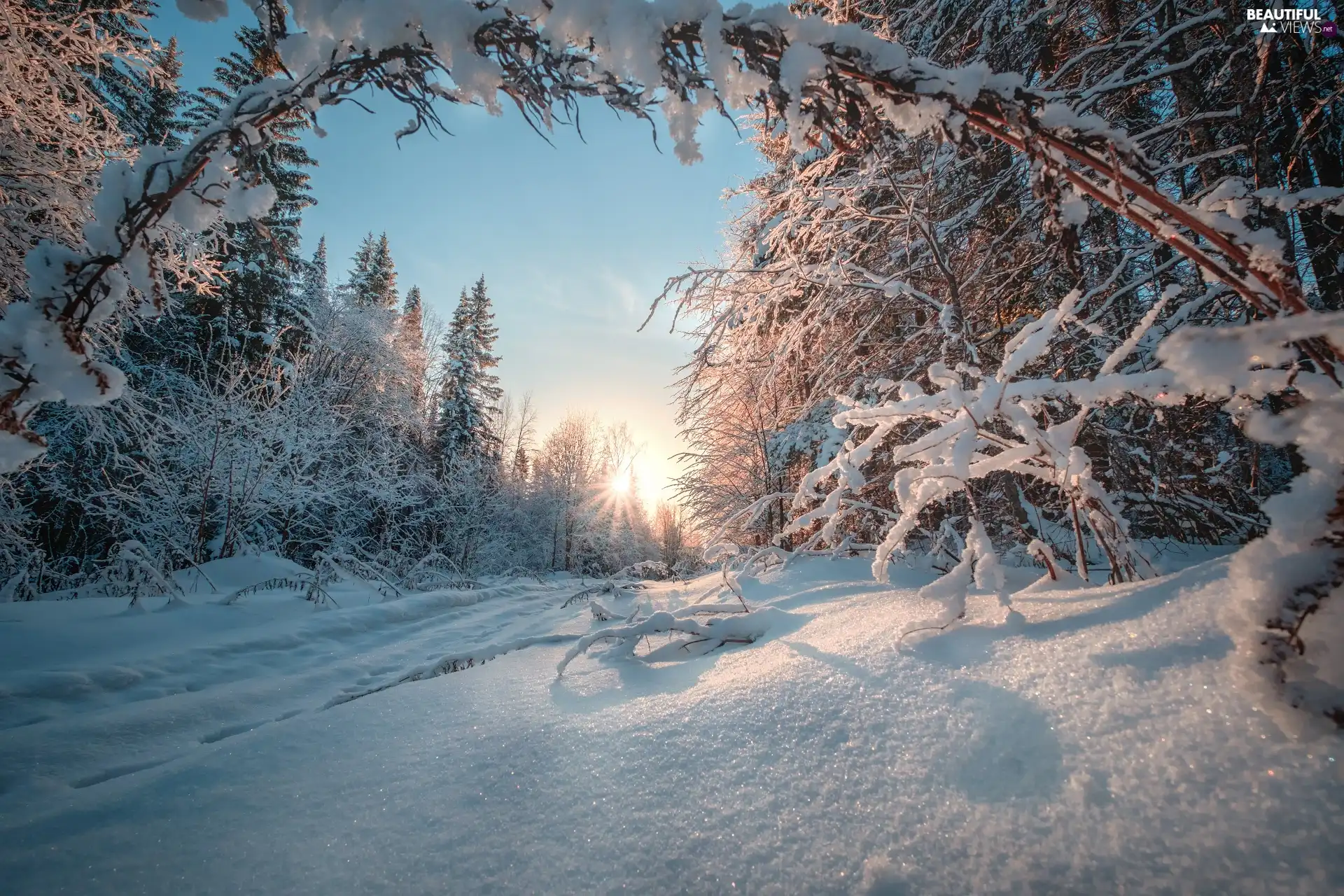 Perm Krai, Russia, Ural, winter, Way, rays of the Sun, trees, viewes, forest
