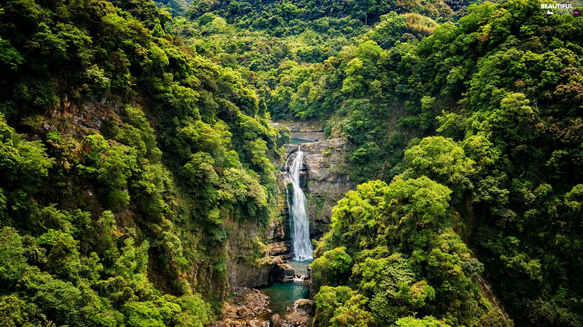 forest, waterfall, viewes, VEGETATION, trees, rocks