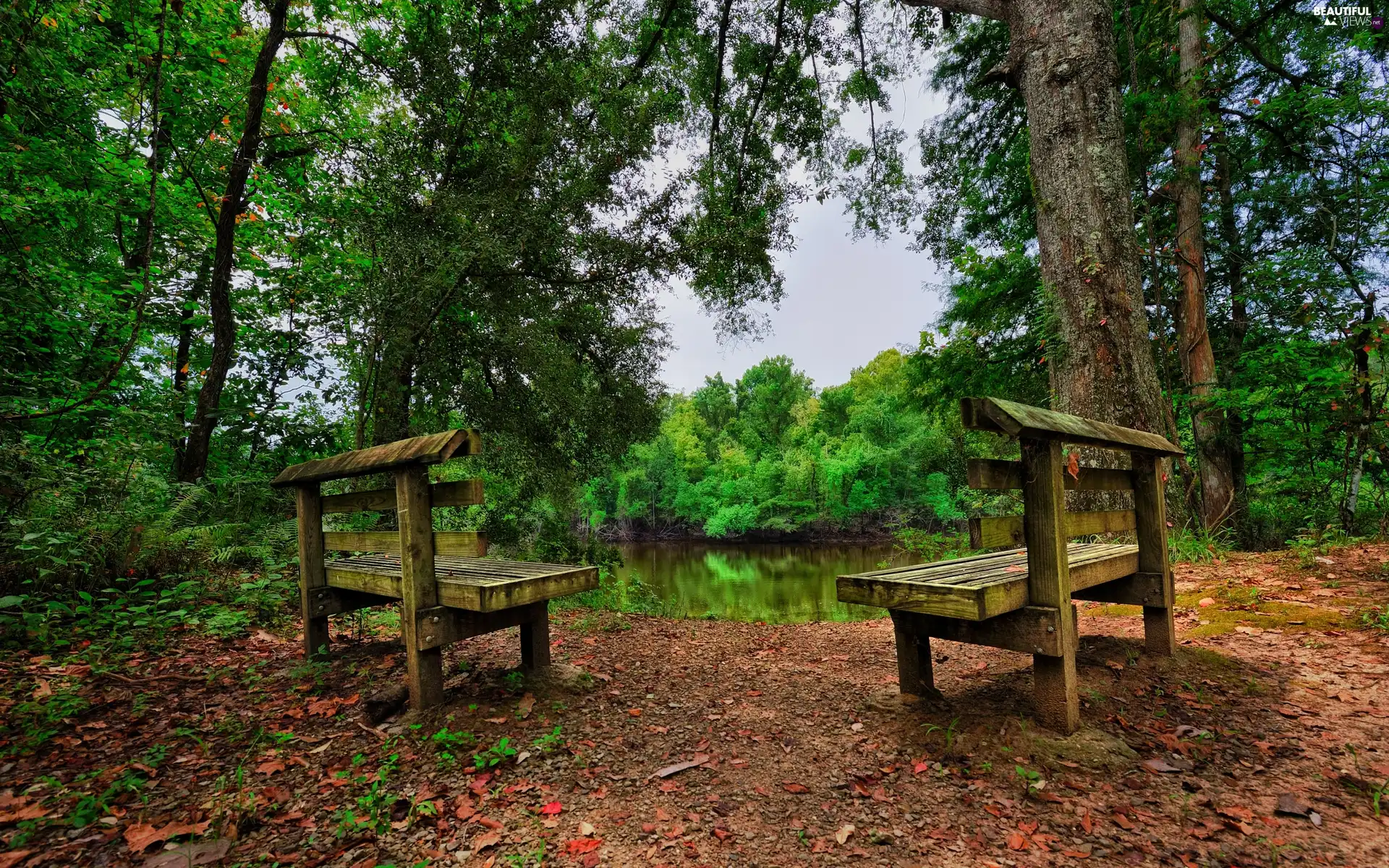 bench, River, viewes, autumn, trees, forest