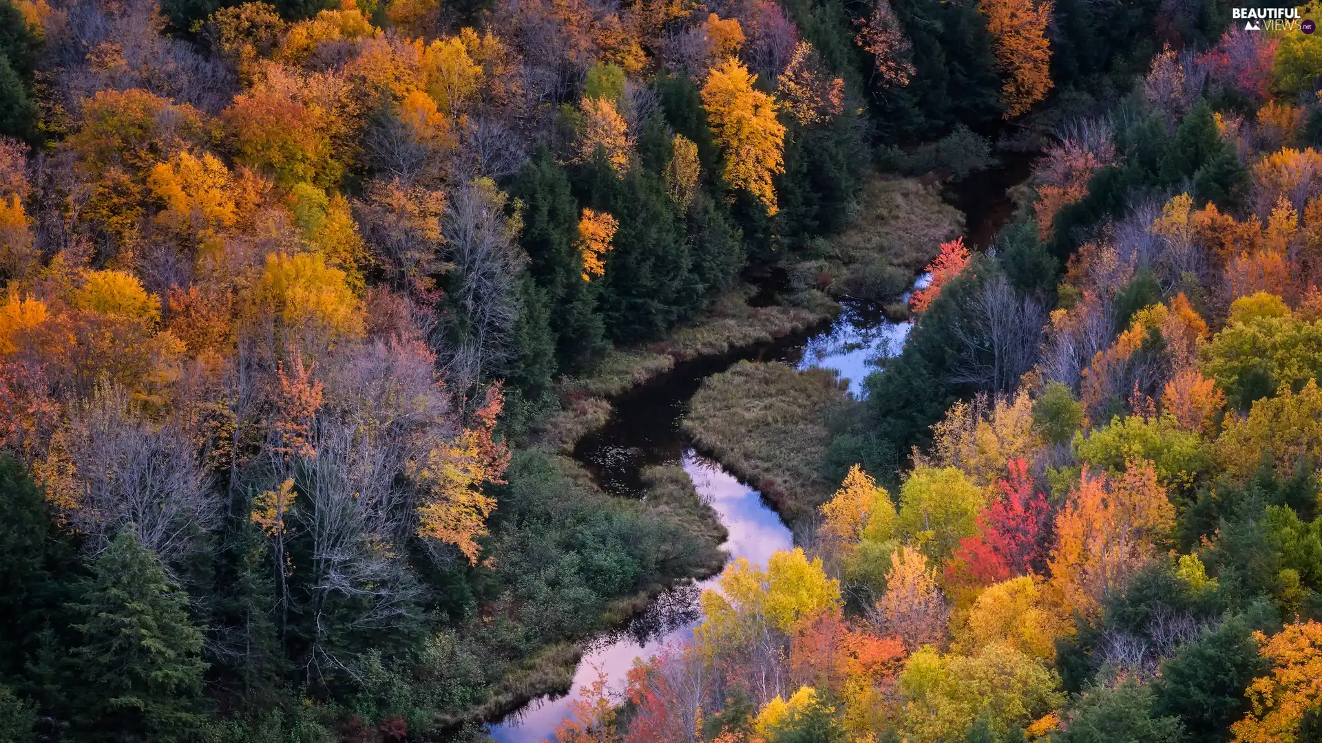 River, autumn, trees, viewes, color, forest