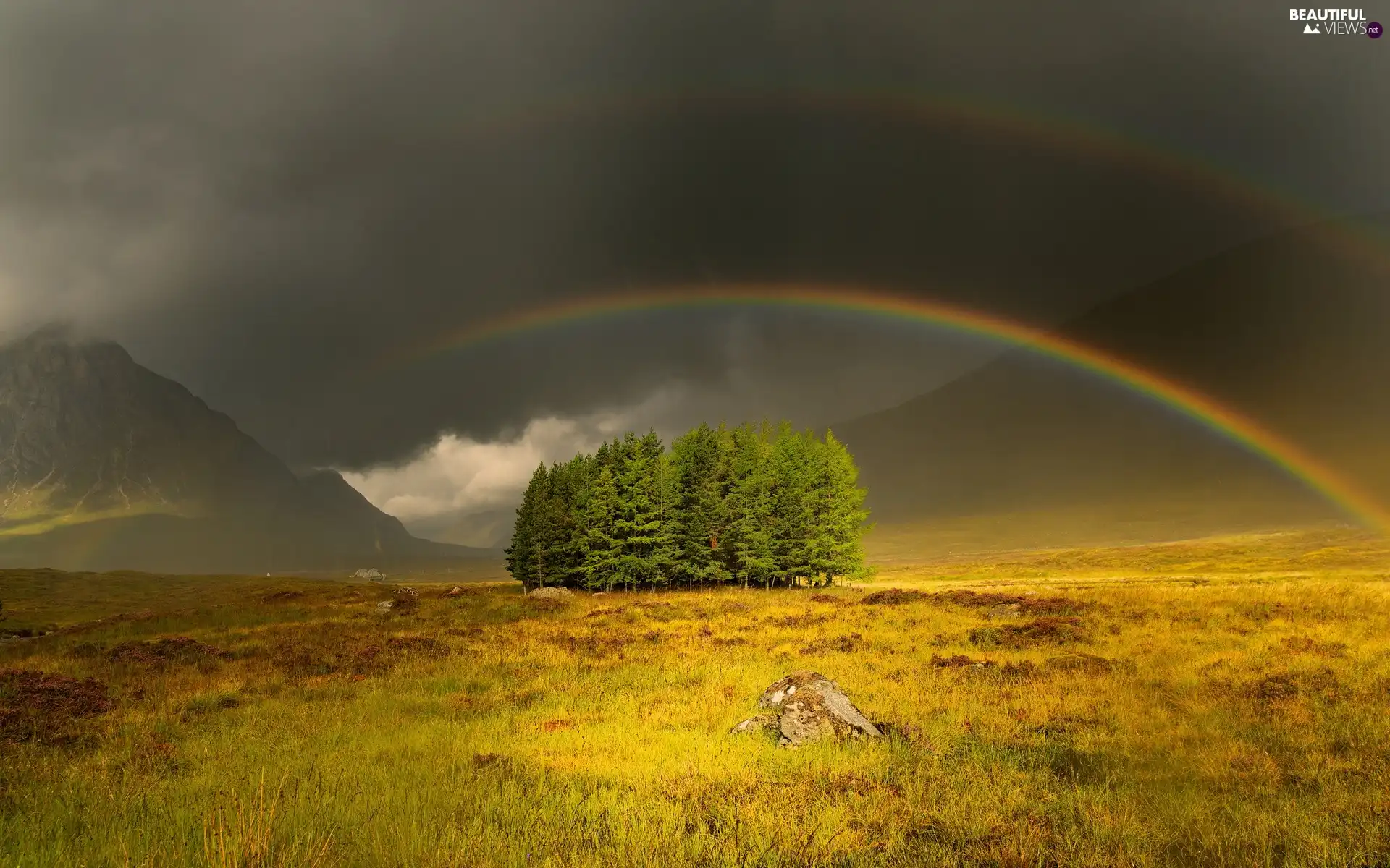 Mountains, trees, viewes, Great Rainbows