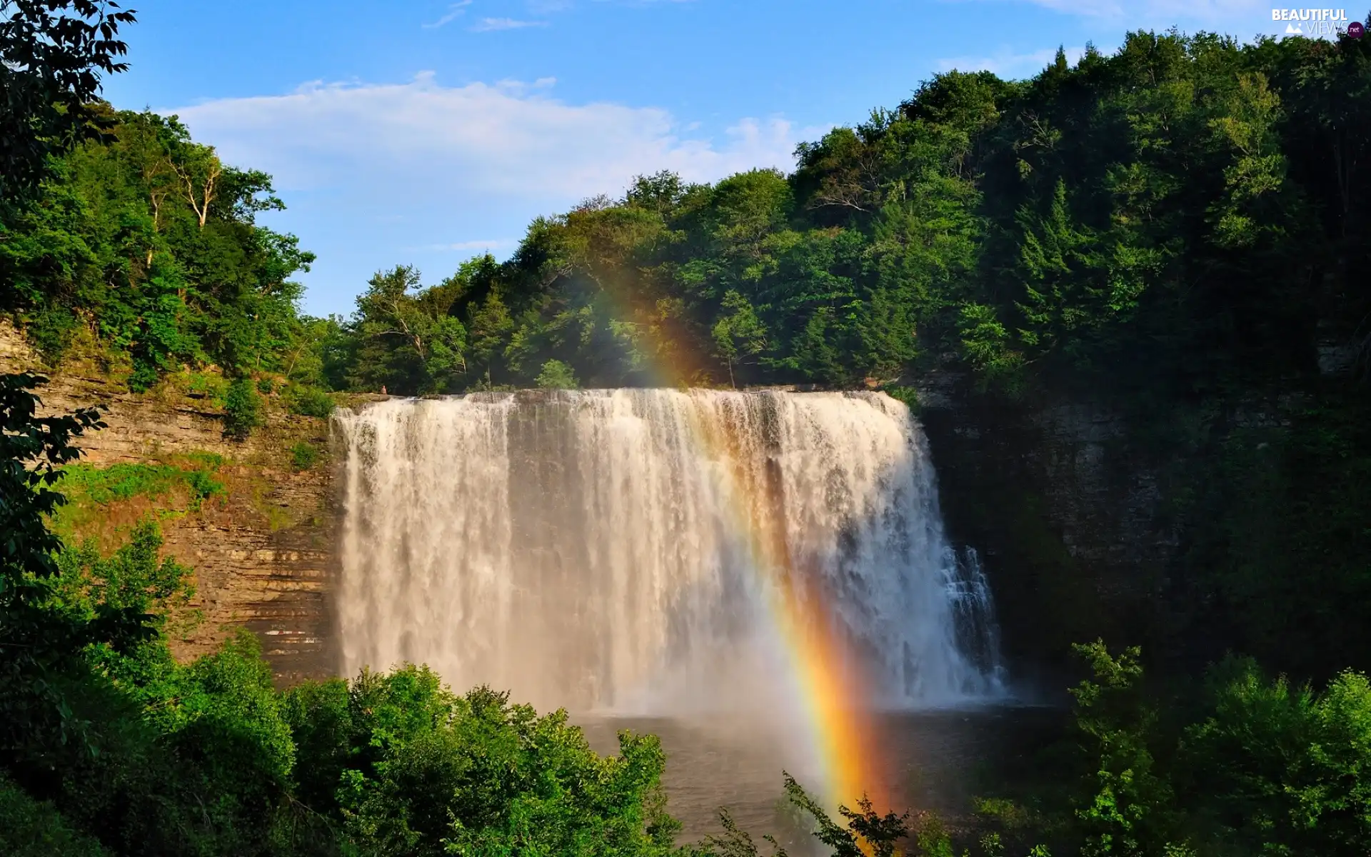viewes, forest, Great Rainbows, trees, waterfall
