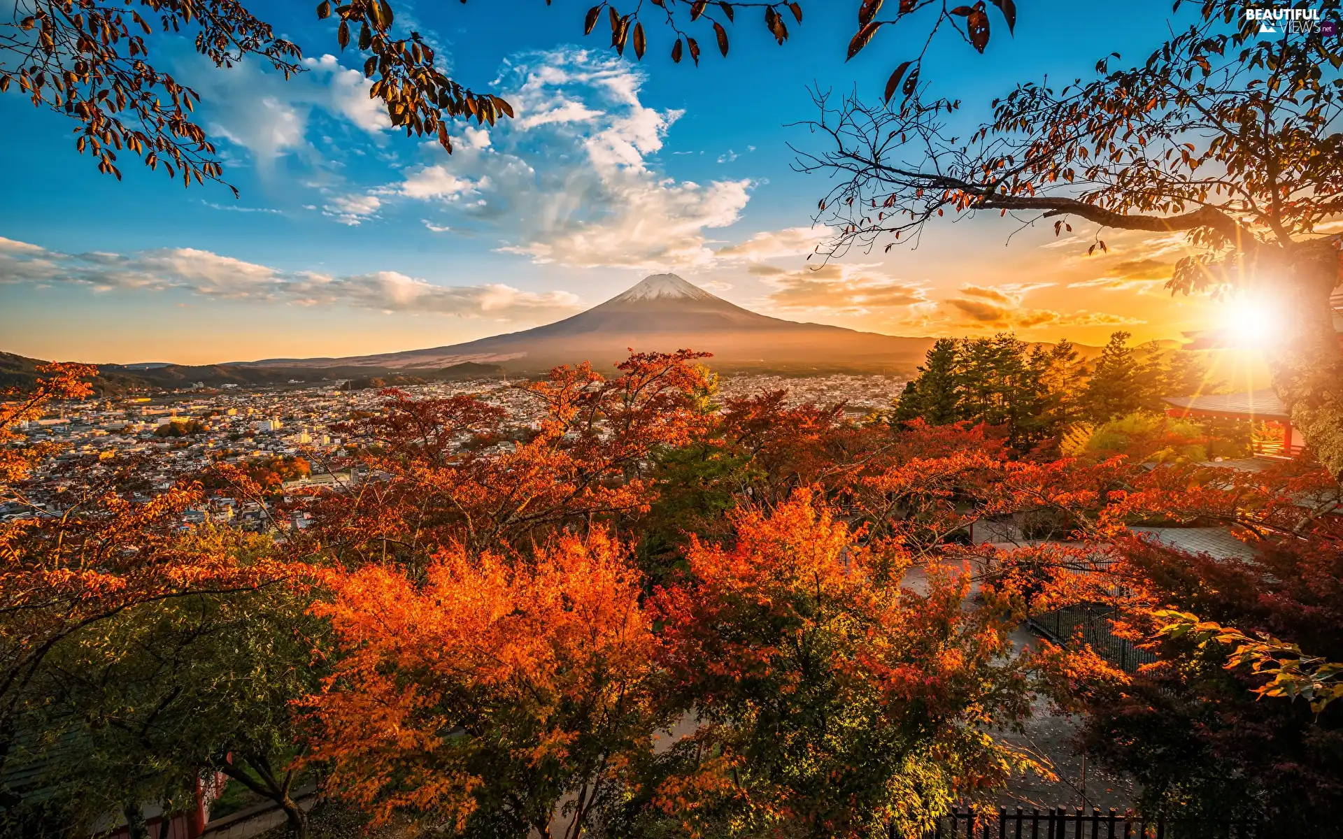 Fujiyoshida City, Mount Fuji, autumn, Bush, viewes, Honshu Island, Japan, trees