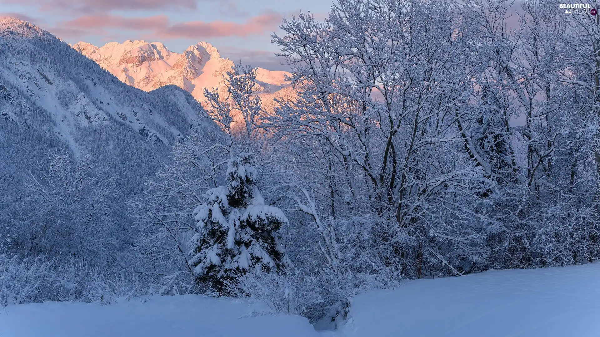 Mountains, winter, trees, viewes, Snowy, illuminated