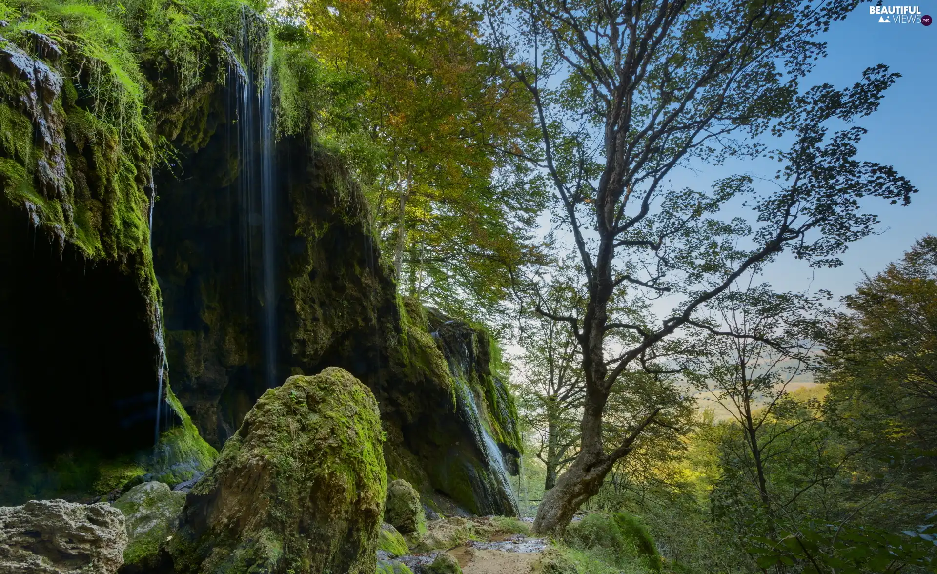 trees, viewes, mossy, rocks, waterfall