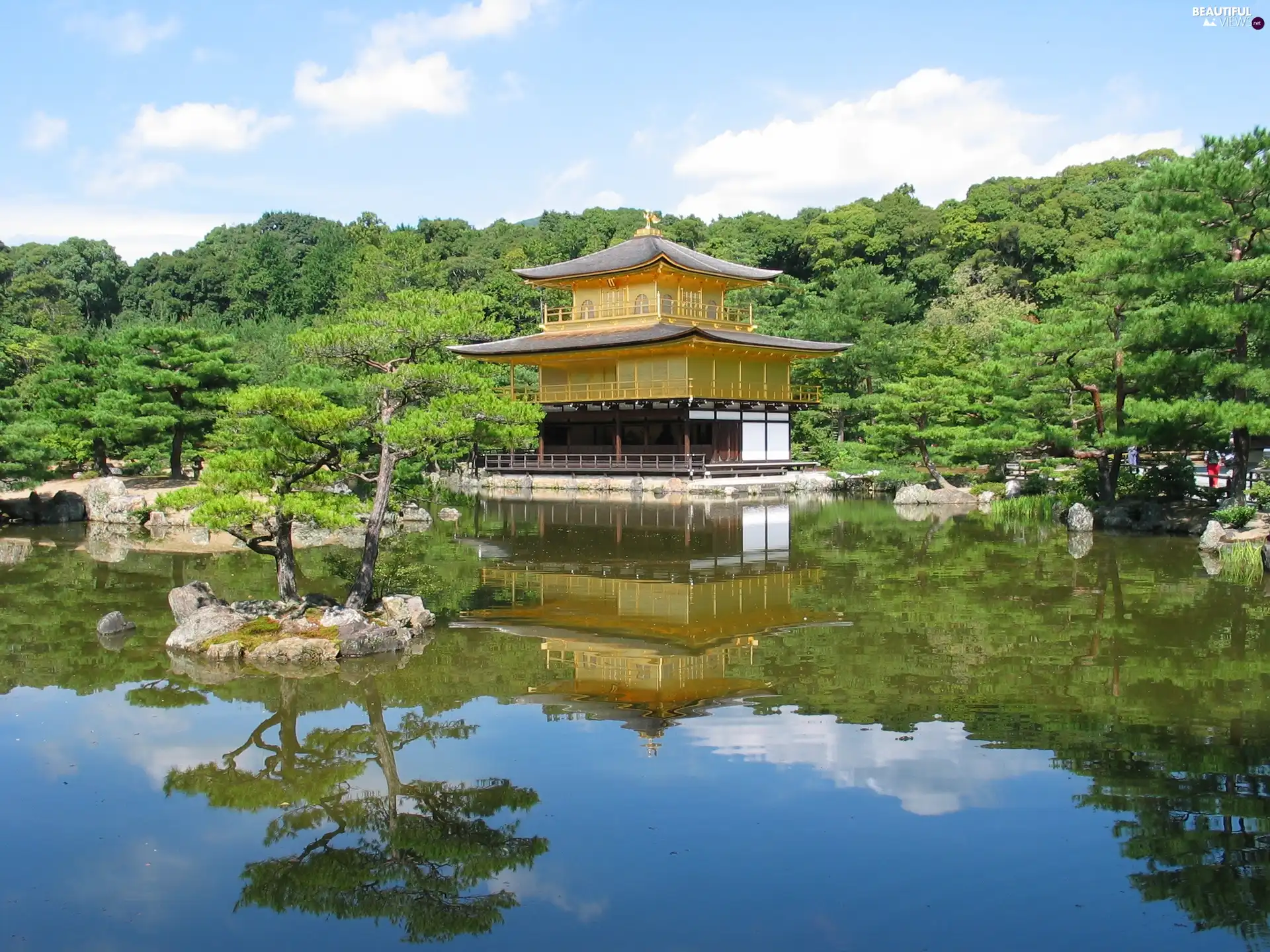 trees, japanese, water, alcove, Garden, viewes, reflection