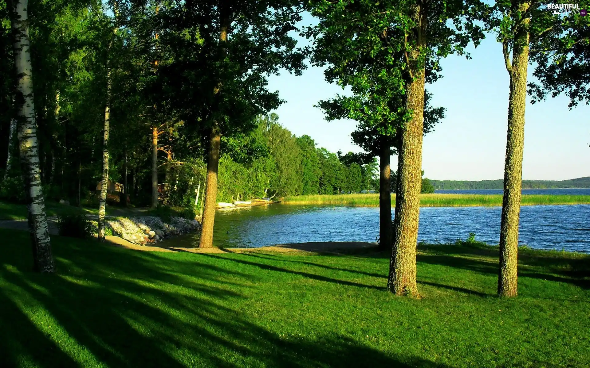 viewes, Sky, grass, trees, lake