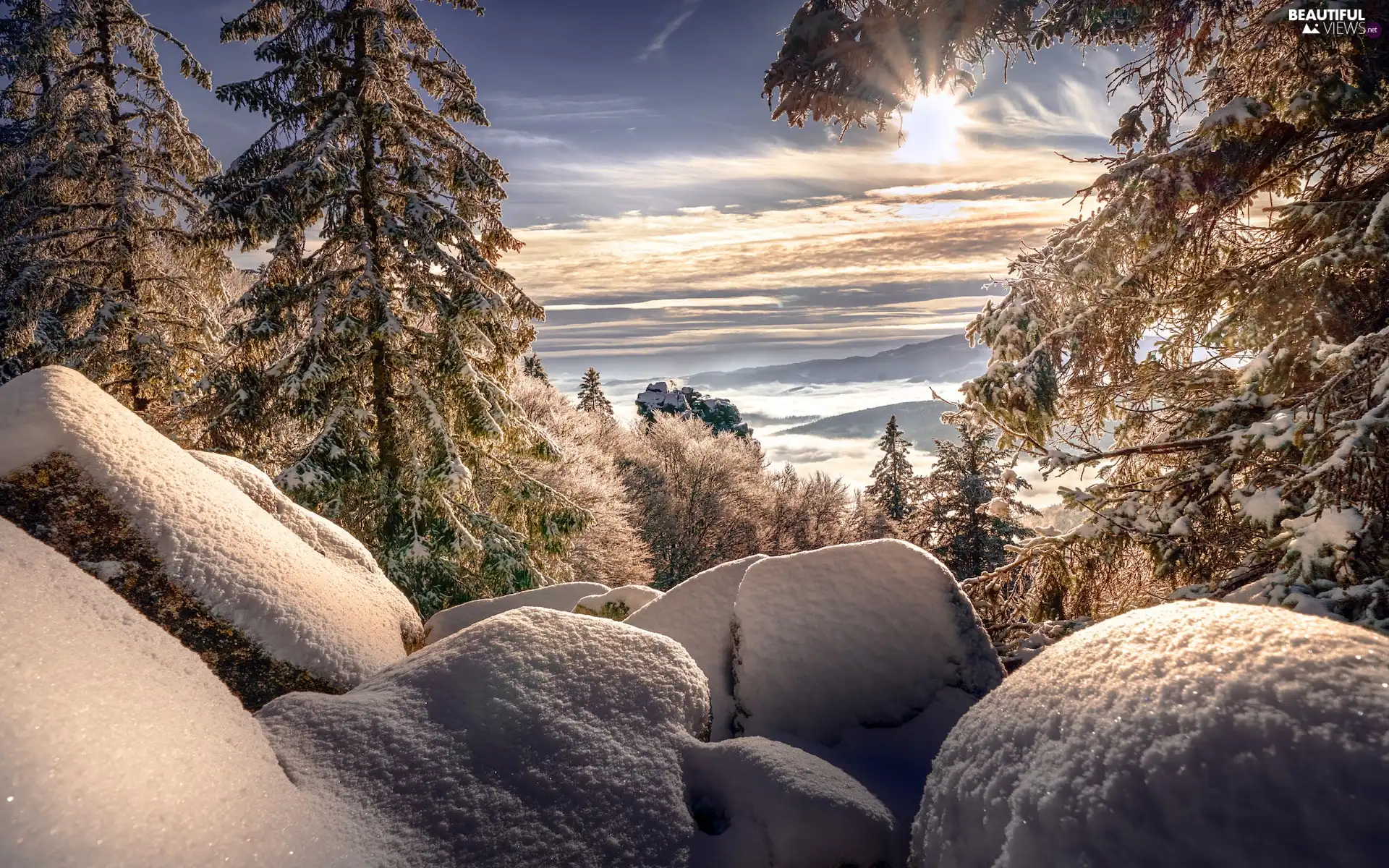 Stones, winter, trees, viewes, Snowy, Sunrise