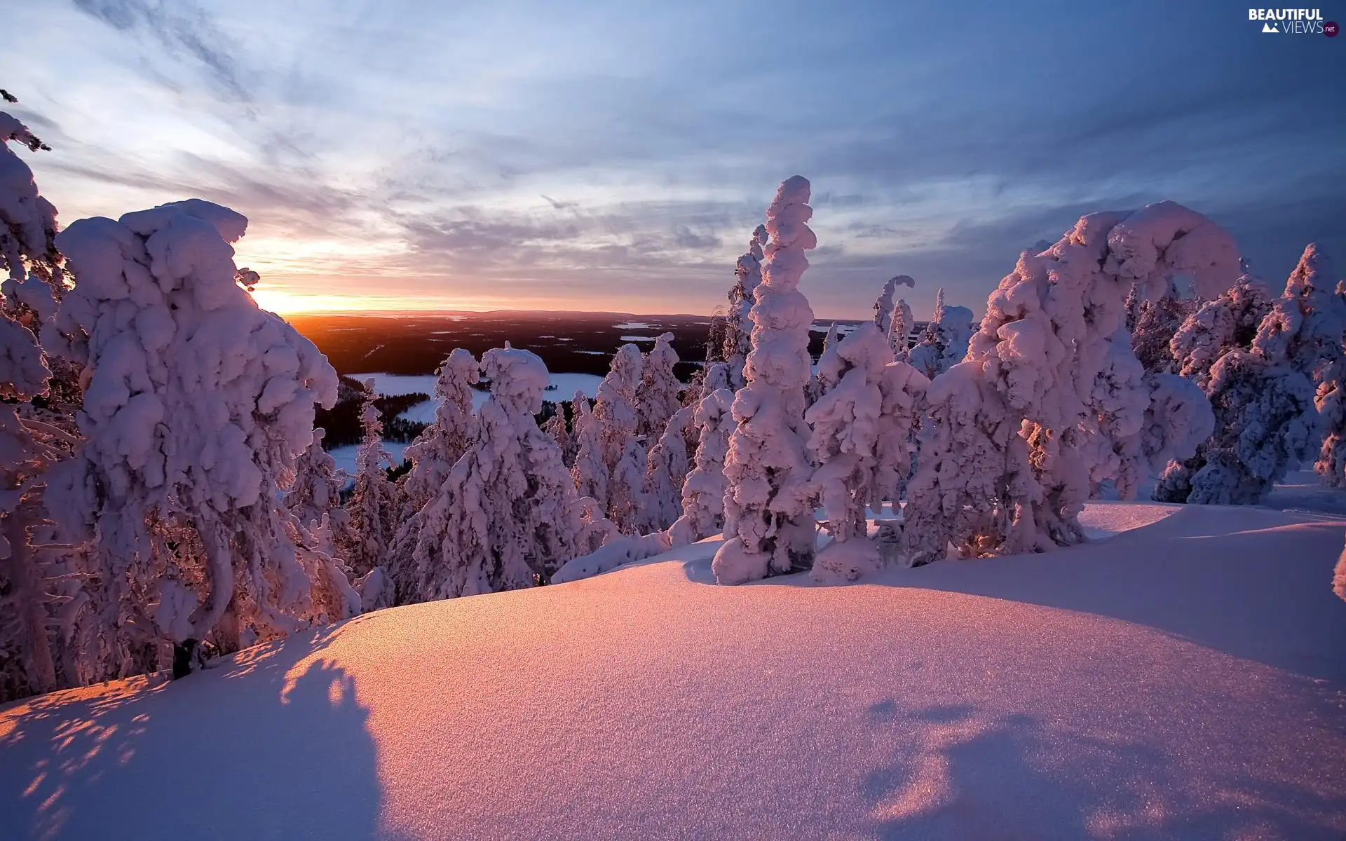 viewes, Great Sunsets, Snowy, trees, winter