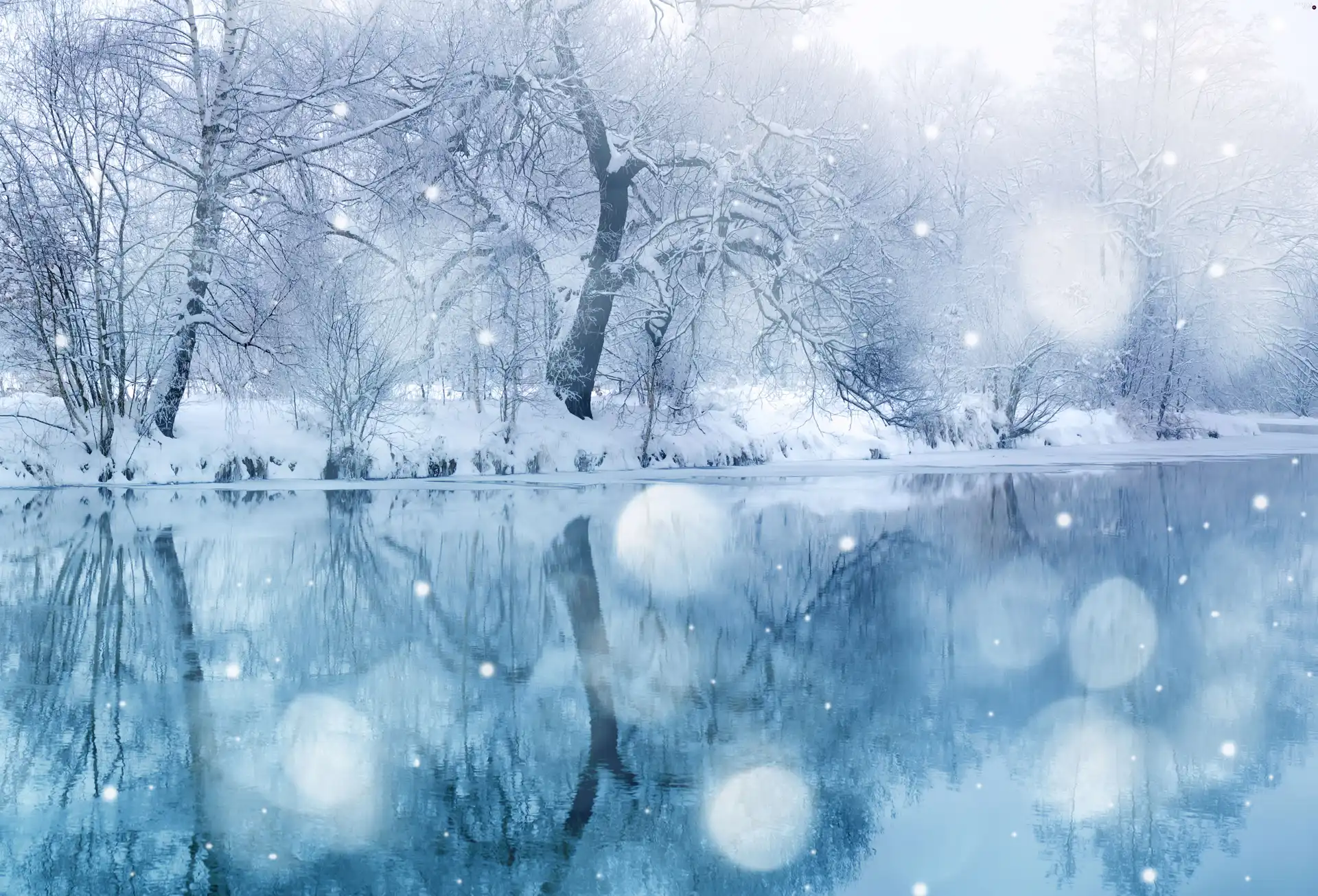 viewes, water, snow, trees, winter