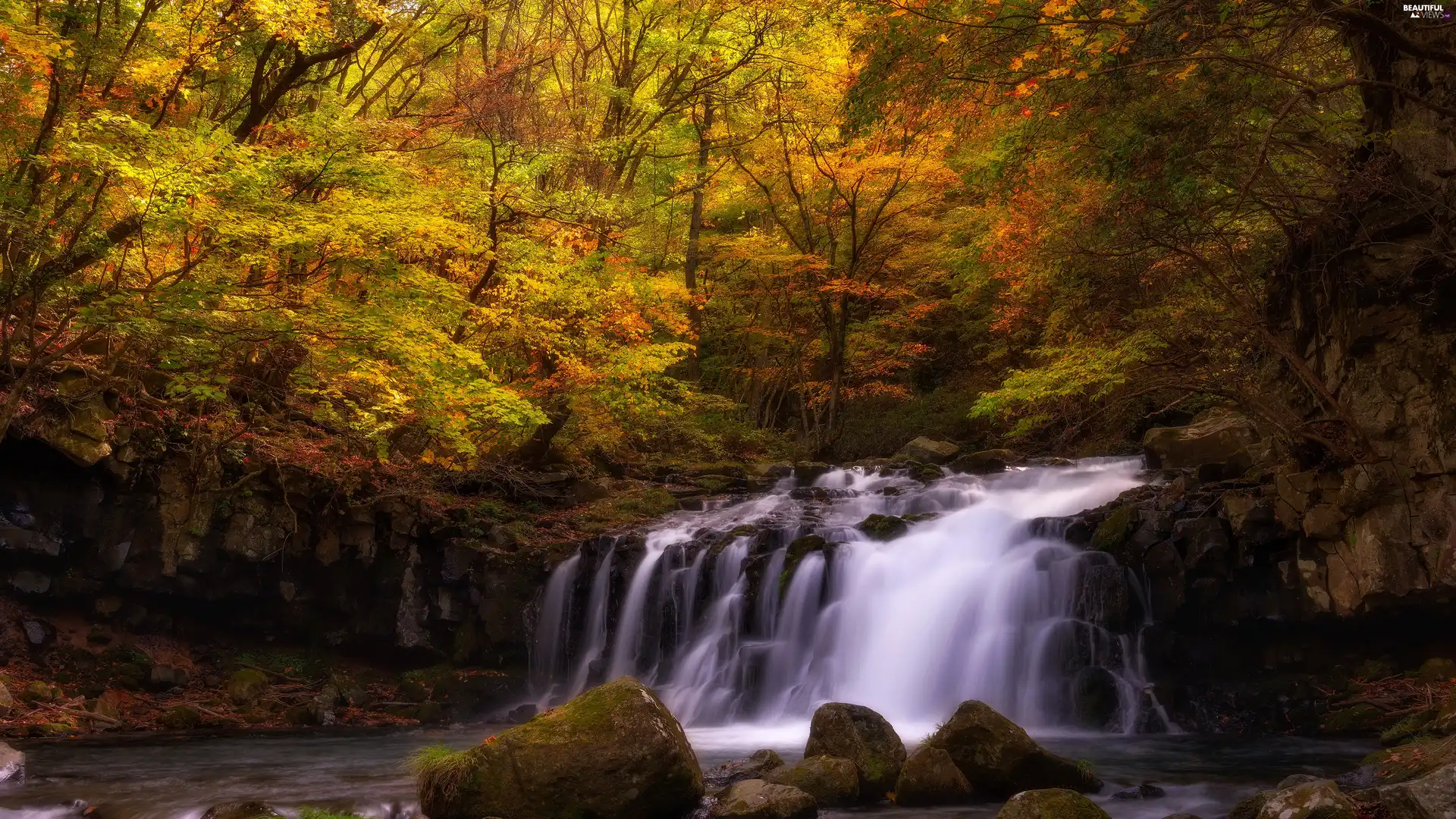 Stones, trees, waterfall, viewes, forest, River, autumn