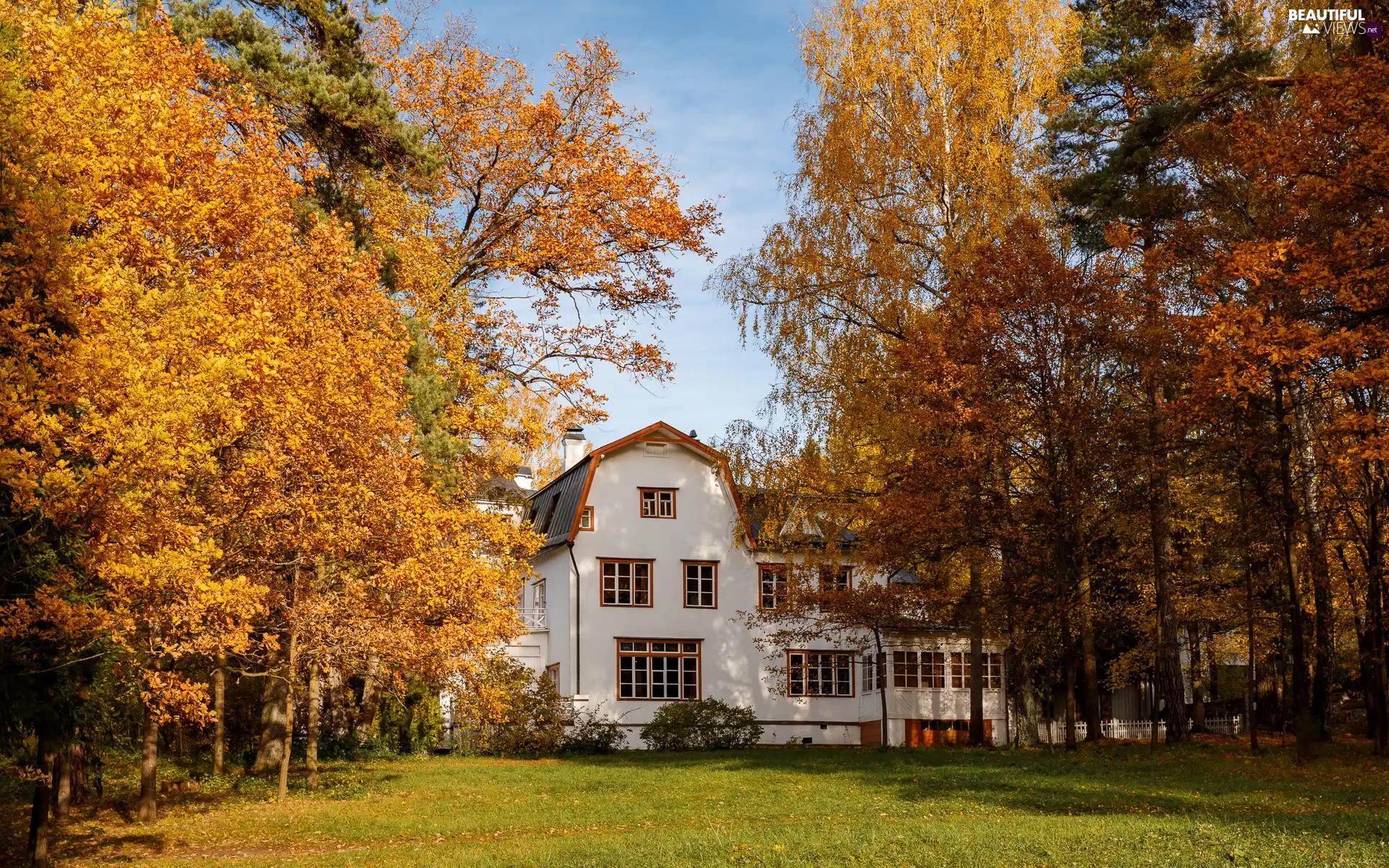 Yellowed, trees, White, viewes, autumn, Leaf, house