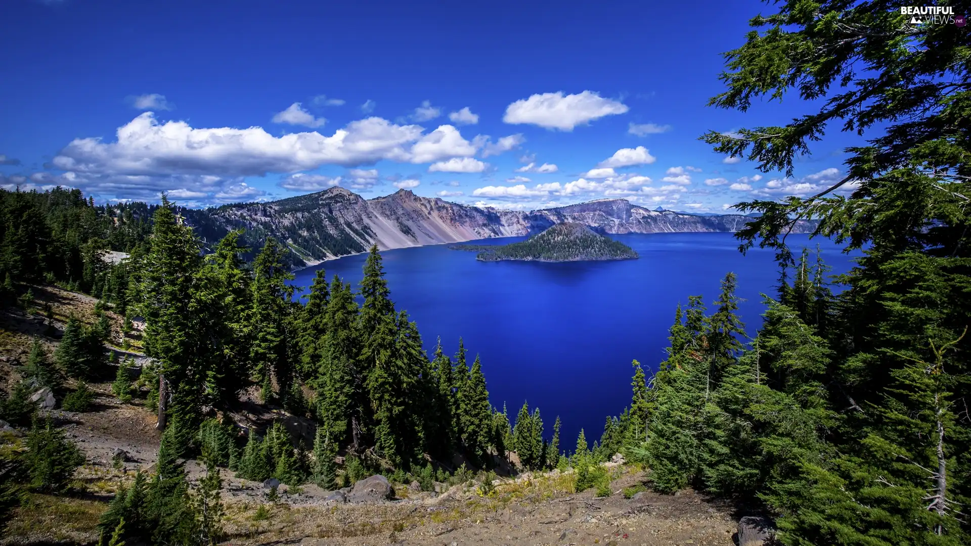 Crater Lake National Park, Crater Lake, viewes, Island of Wizard, trees, Oregon, The United States, Mountains