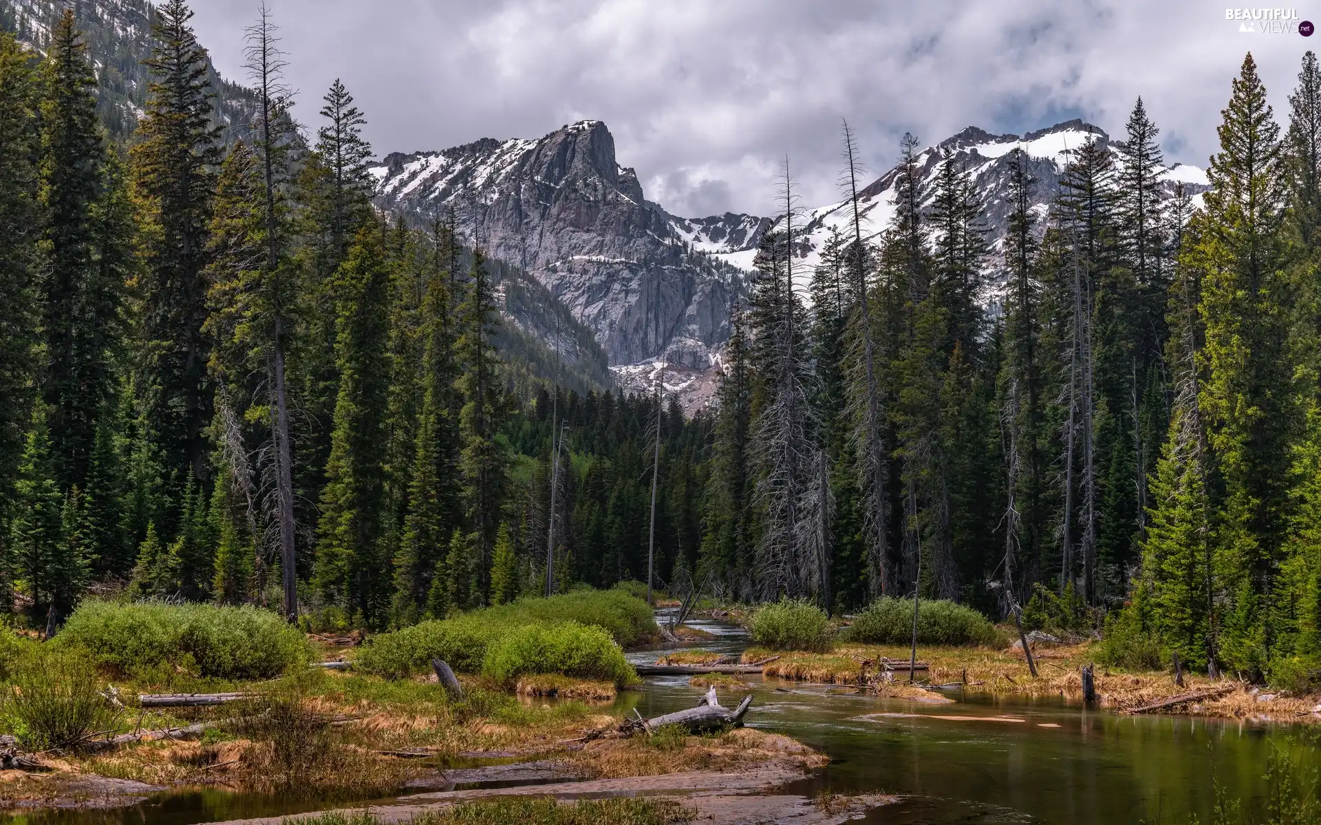 Mountains, Grand Teton National Park, trees, viewes, State of Wyoming, The United States, River, clouds, forest