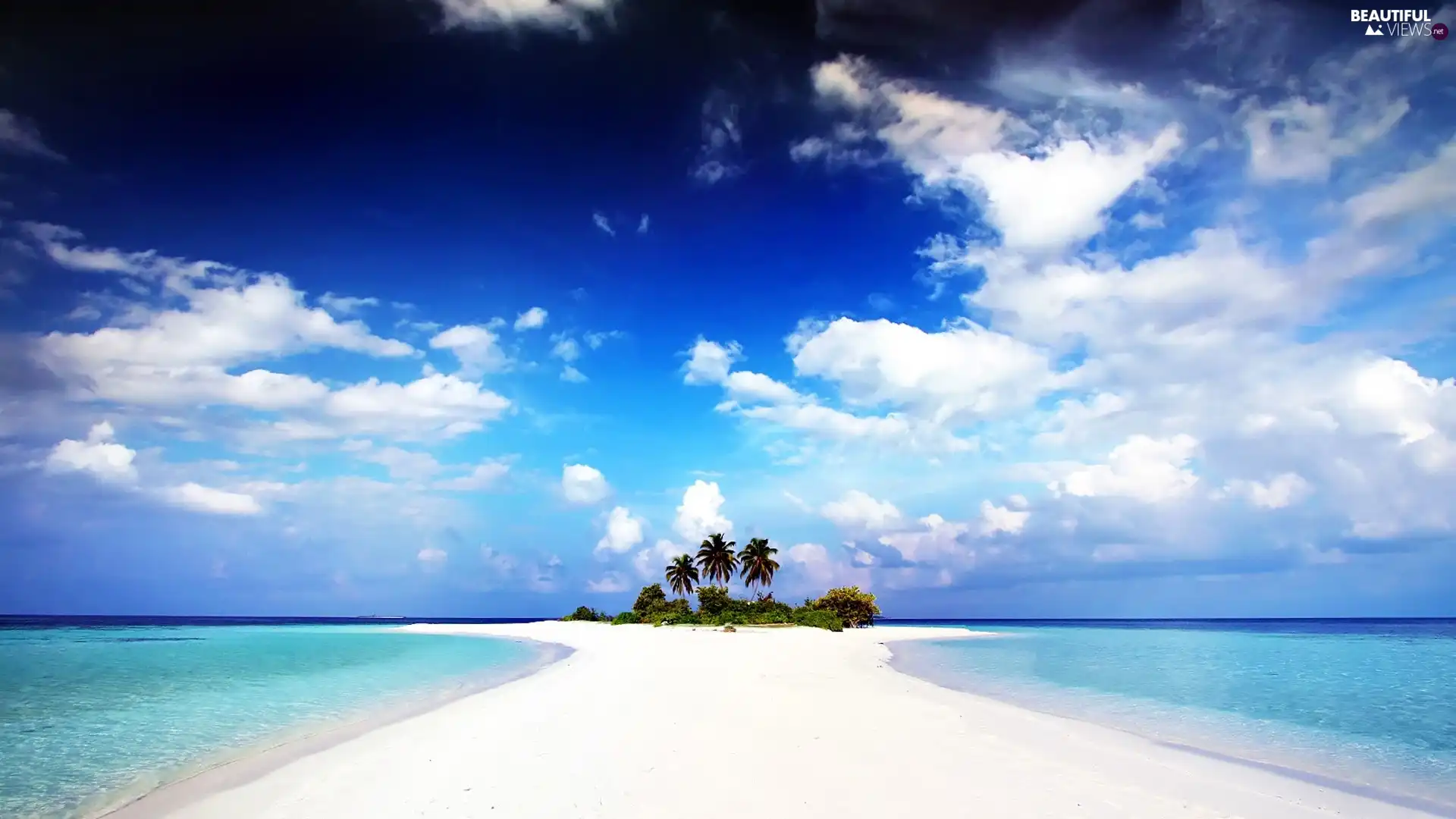 Island, Sky, water, Palms