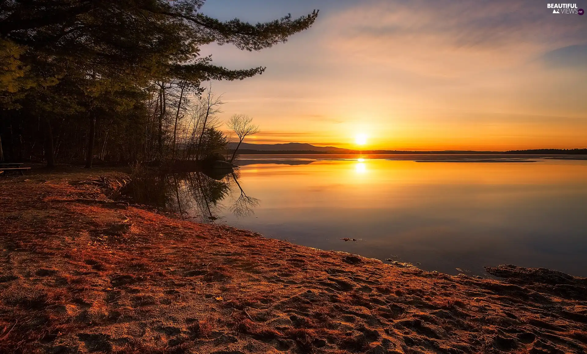 Leavitt Beach, State of New Hampshire, trees, Lake Winnipesaukee, The United States, Sunrise, viewes