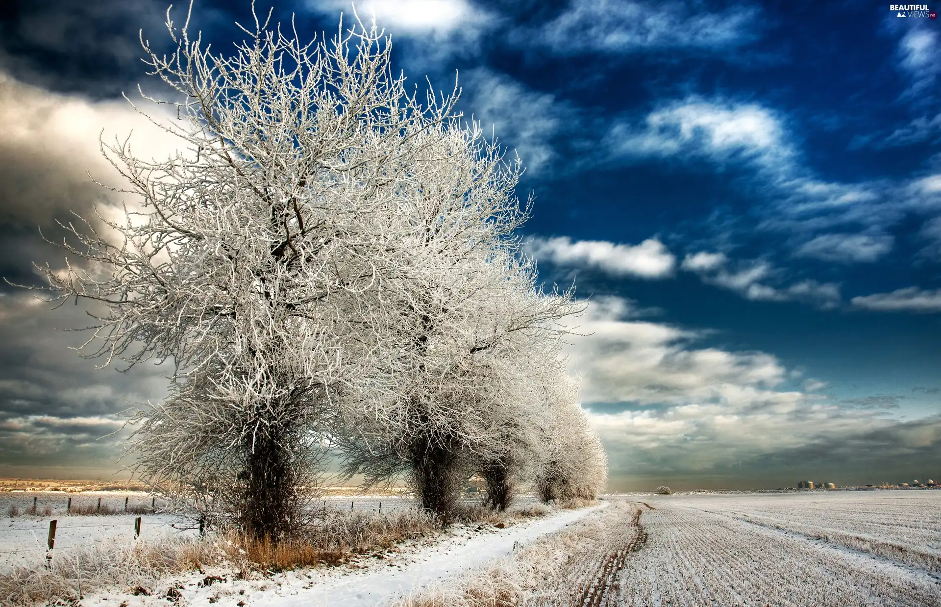 winter, Field, viewes, snow, trees