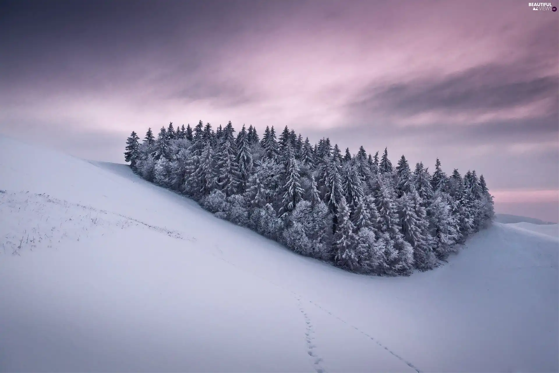 winter, Mountains, forest