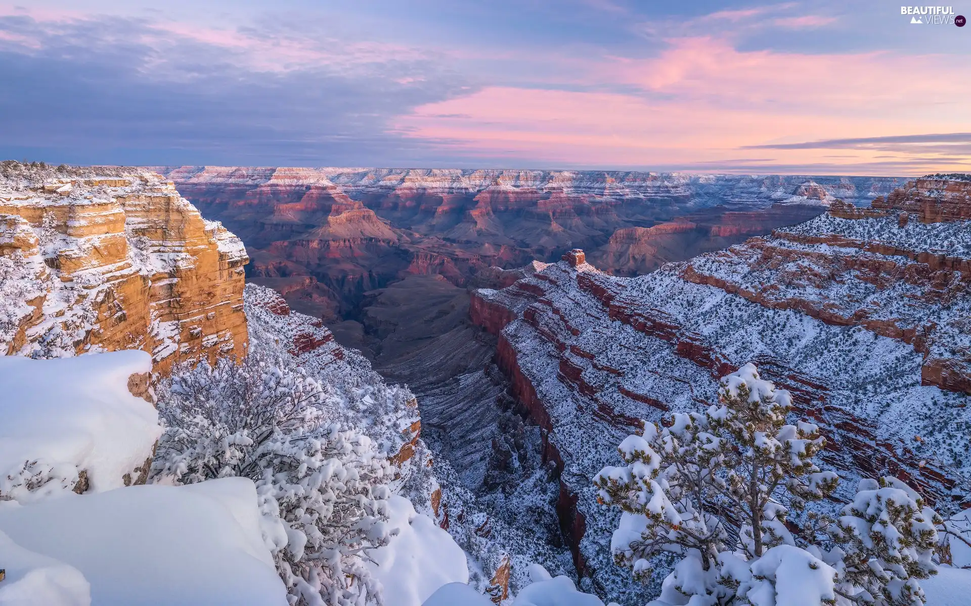 Grand Canyon, canyon, trees, Grand Canyon National Park, winter, Arizona, The United States, rocks