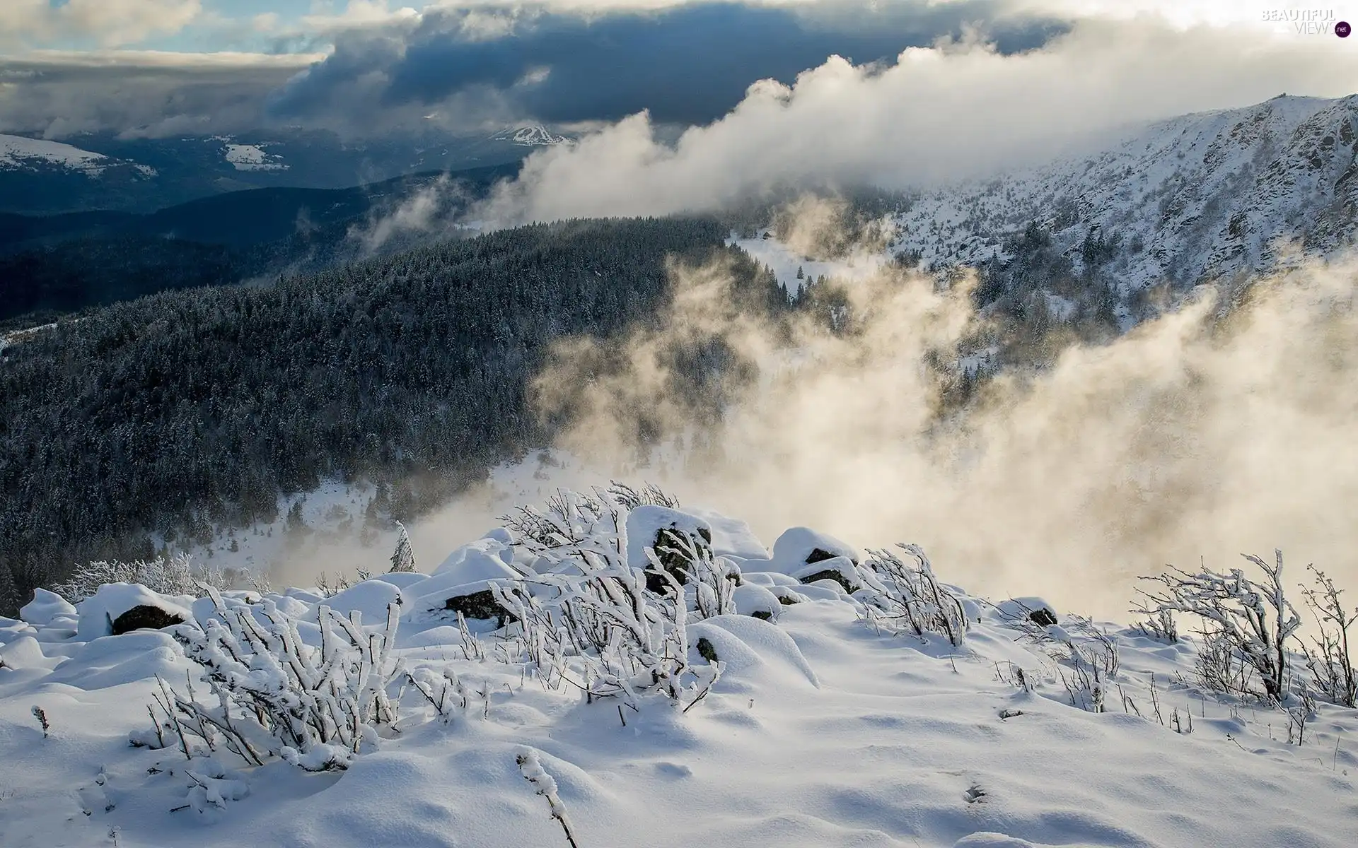 Mountains, clouds, winter, woods