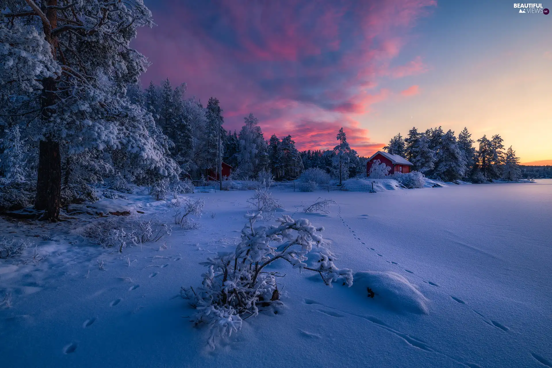 winter, trees, clouds, viewes, Great Sunsets, Ringerike Municipality, Norway, Home