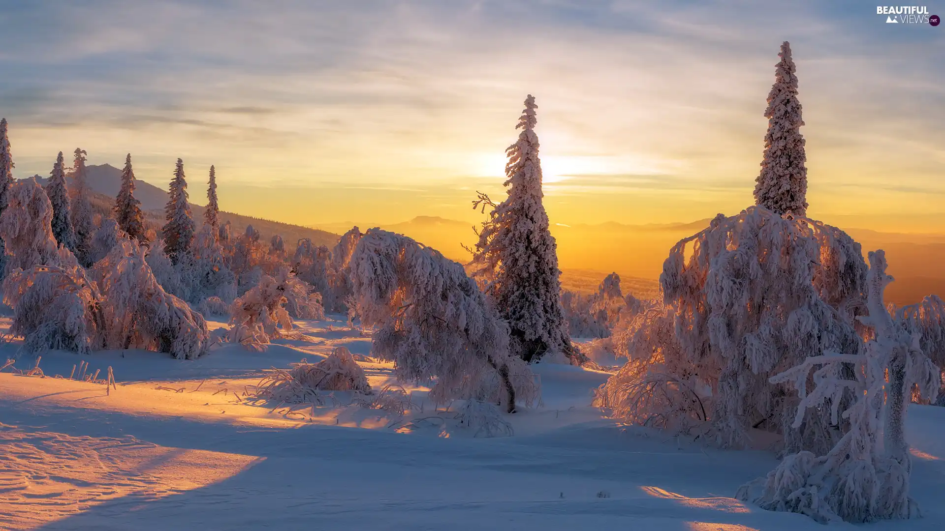 Spruces, Great Sunsets, winter, Ural Mountains, Russia