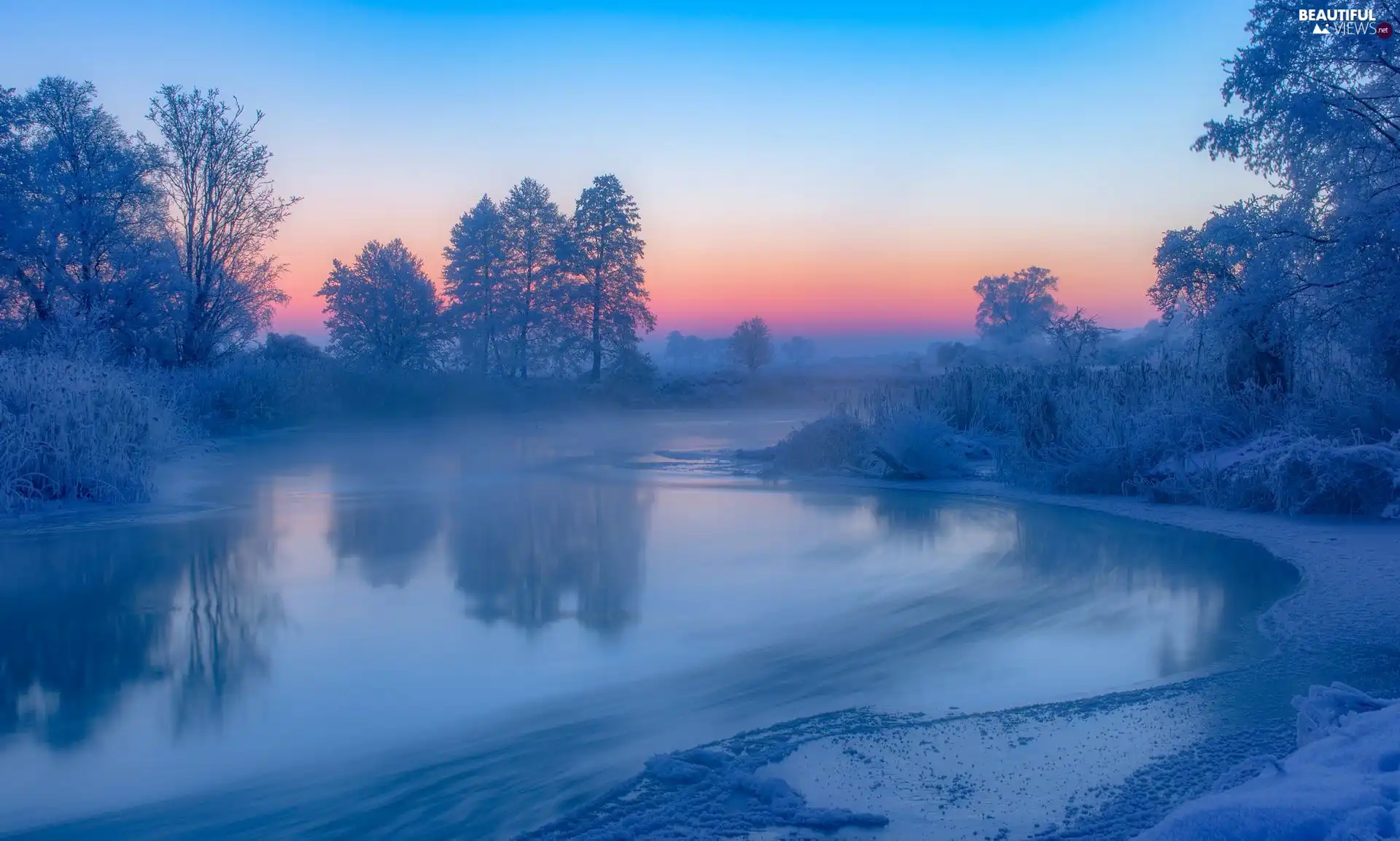 winter, Great Sunsets, snow, Frost, cane, Fog, trees, viewes, River