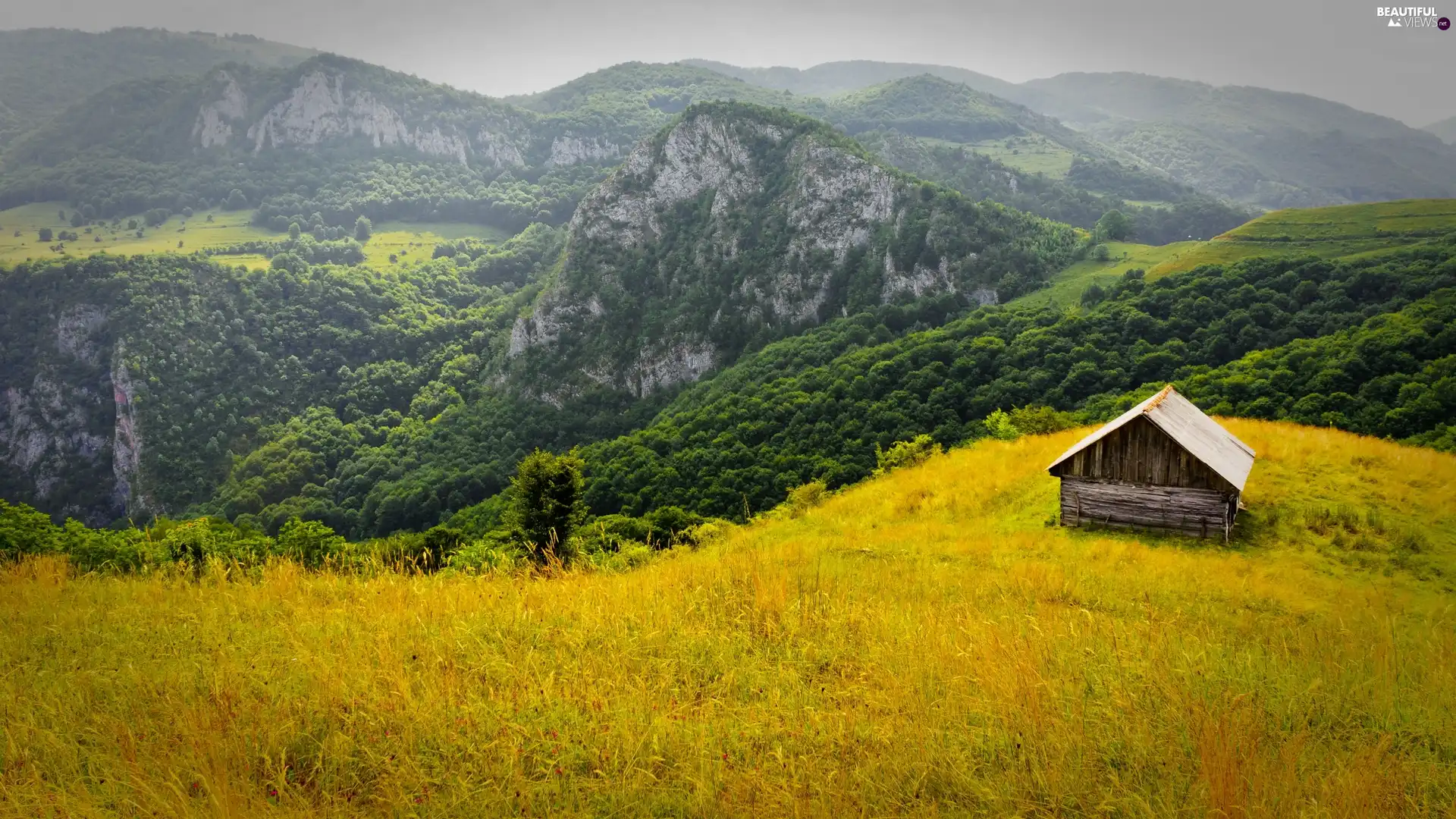 Wooden, Cottage, Mountains, woods, Romania