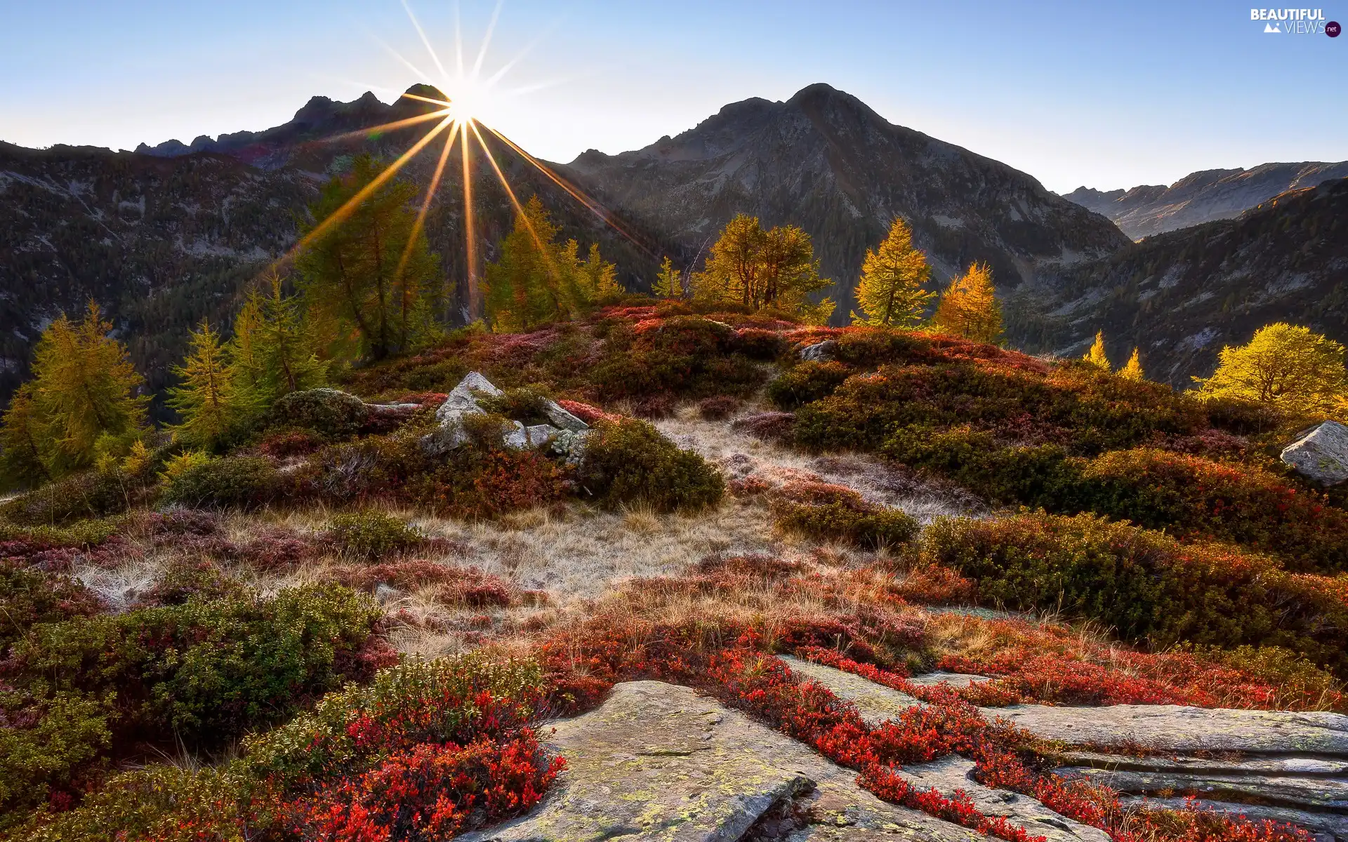 Mountains, autumn, color, Plants, viewes, rays of the Sun, Yellowed, trees, Bush