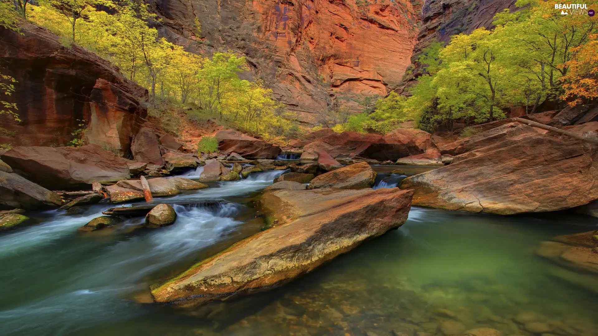 Zion National Park, Virgin River, canyon, rocks, viewes, Utah State, The United States, trees