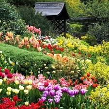 alcove, Garden, Tulips