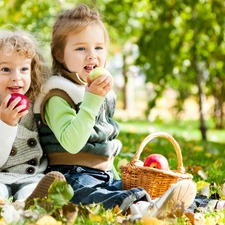 Kids, basket, apples, Meadow