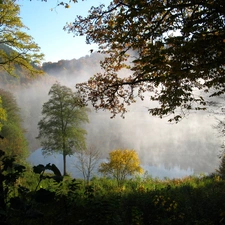 Mountains, Fog, autumn, woods