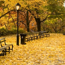 Park, Leaf, autumn, bench