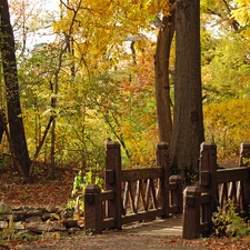 Park, Leaf, autumn, bridges