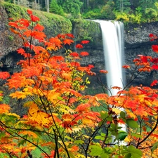 waterfall, viewes, autumn, trees