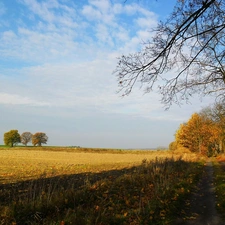 autumn, Field, Way