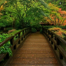 wooden, Park, autumn, bridge