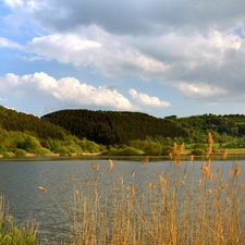 autumn, lake, woods