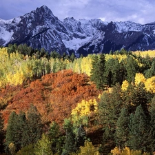 autumn, Mountains, woods