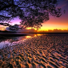 west, trees, Beaches, sun