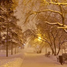 bench, winter, Park