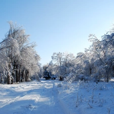 viewes, Park, bench, winter, Way, trees