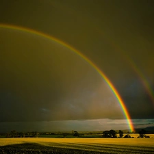Black, Sky, by, Polami, rainbows