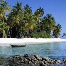 summer, Palms, Boat, Beaches