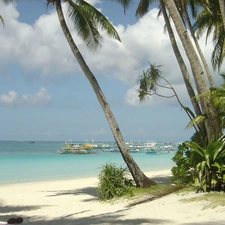 Boats, Sky, Palms, water, Sand