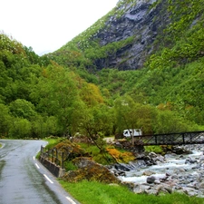 trees, Mountains, bridges, brook, viewes, Way