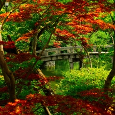 japanese, bridge, brook, Garden