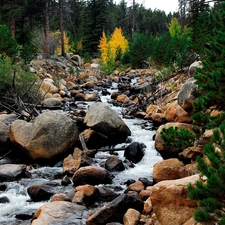 brook, forest, Stones