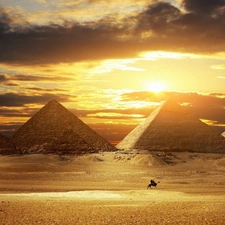 Camel, Pyramids, Desert